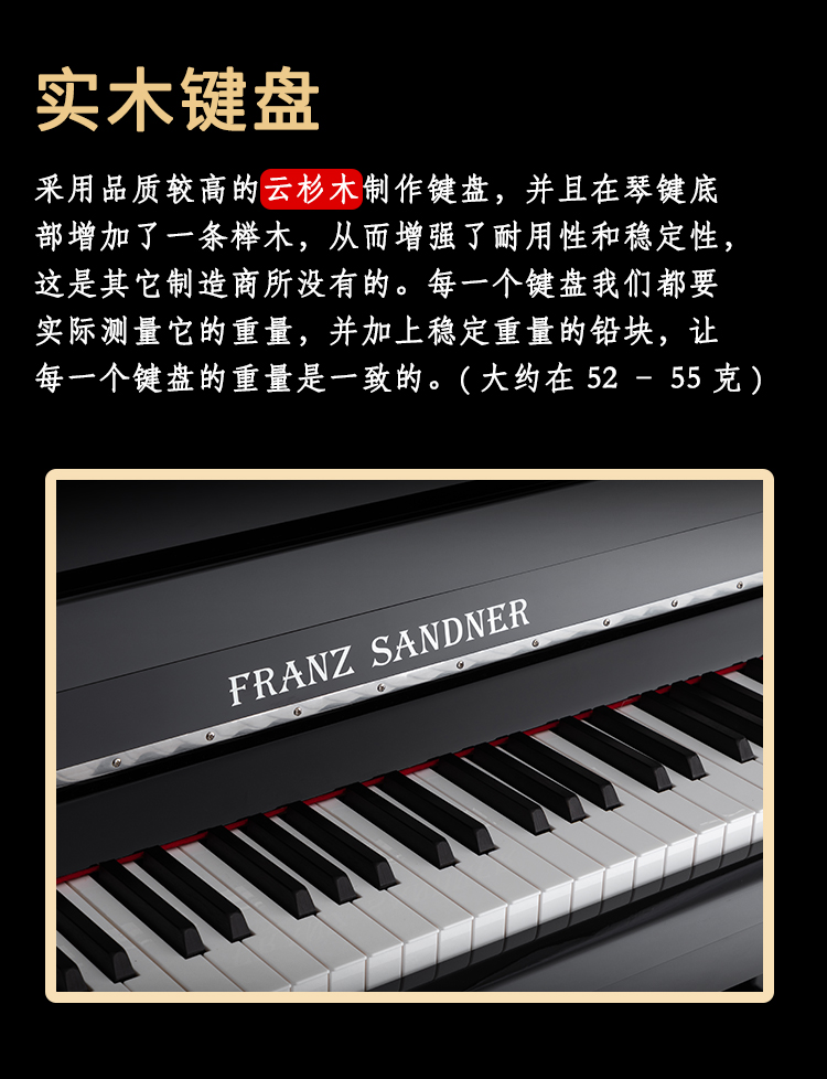 SP-210A_14.jpg