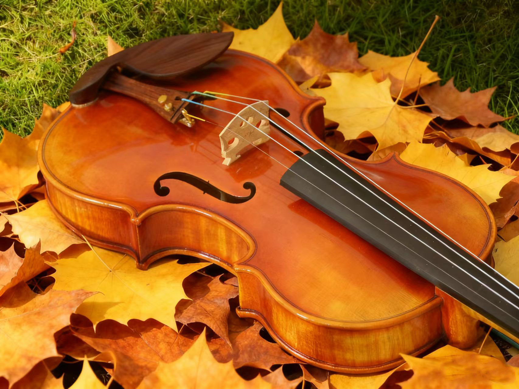 1763515876161561.jpg 1.jpg